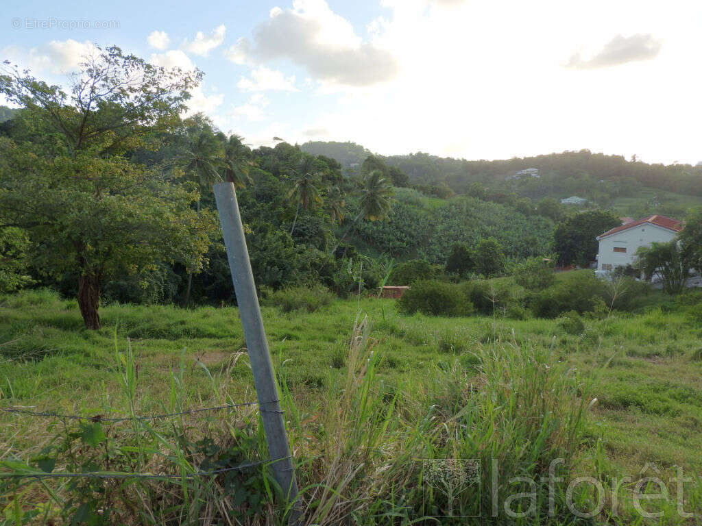 Terrain à LE FRANCOIS