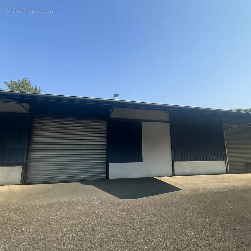 ENTREPOT AUCH 800 M2 plus maison 200 M2 - photo 2