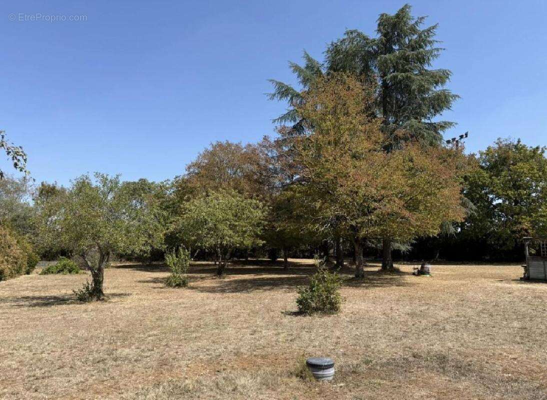 Maison 6 pièces 170 m² à vendre à Verteuil-Sur-Charente (16510) - photo 4