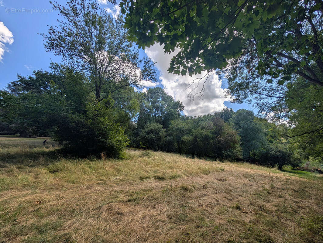 Terrain - Vienne  -16000 m2 - photo 8