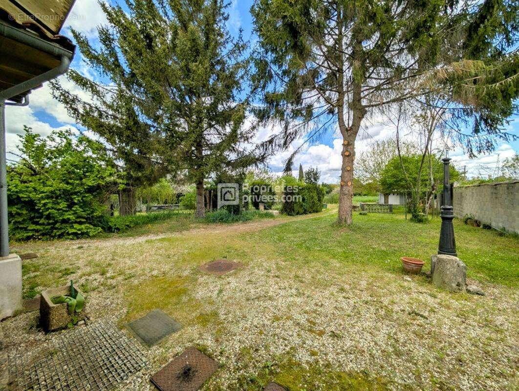 Maison à SAINT-LAURENT-DE-COGNAC