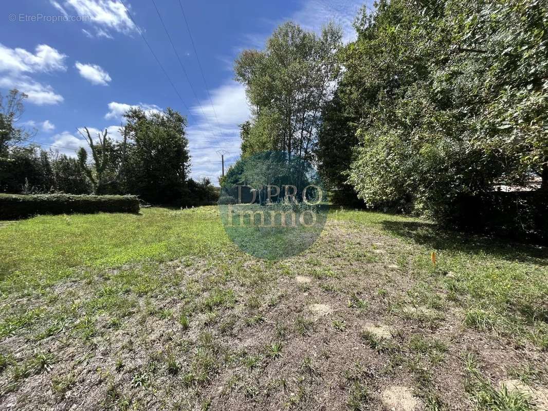 Terrain à SAINT-AIGNAN-GRANDLIEU