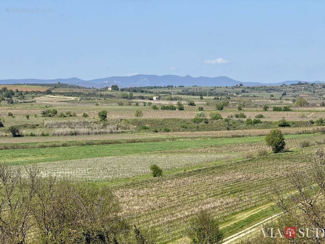 Maison à PUISSERGUIER