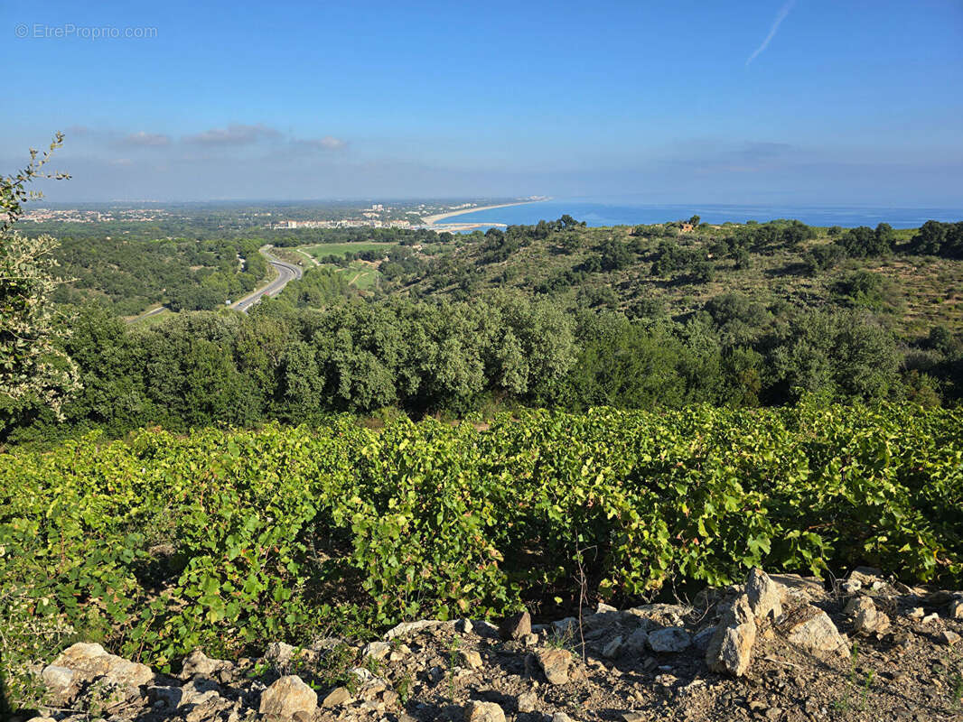 Terrain à COLLIOURE