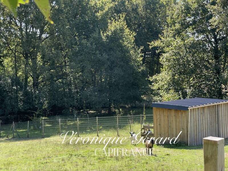 Maison à ORIGNOLLES