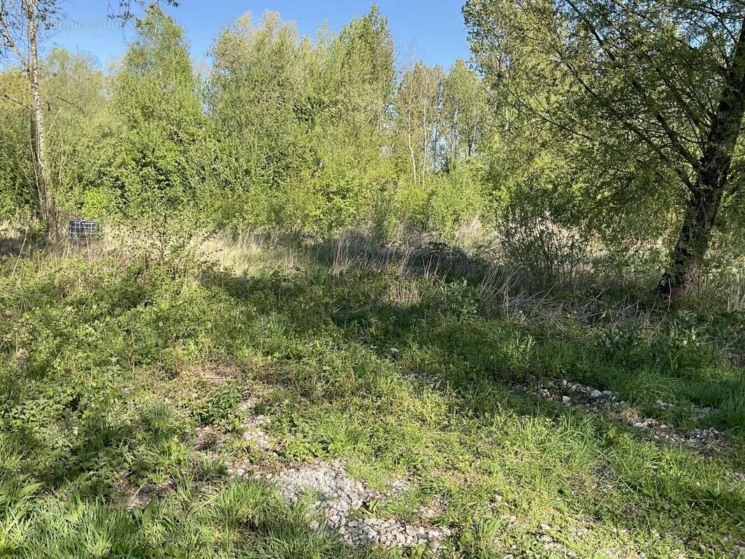 Terrain à BEAUMERIE-SAINT-MARTIN