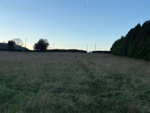 Terrain à SAINT-GERMAIN-D&#039;AUNAY