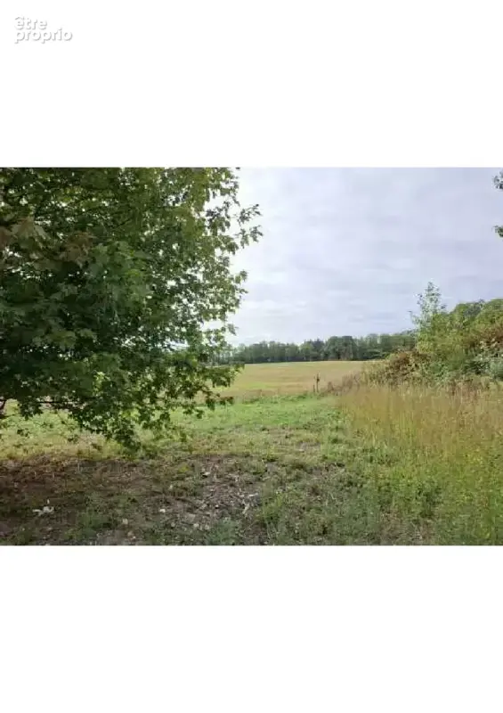 Terrain 1 406 m² à vendre à Pontivy (56300) - photo 2