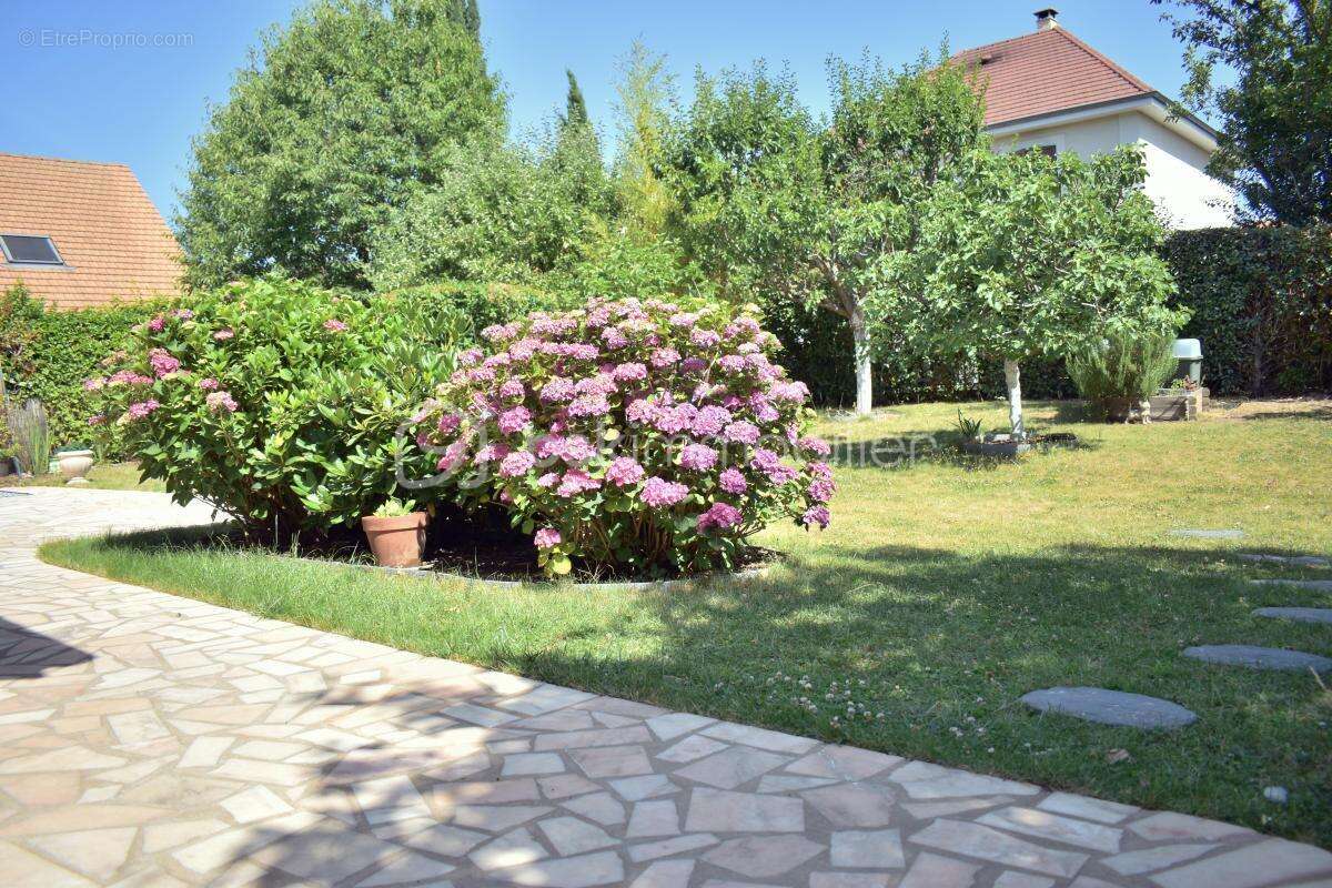 Rare sur le secteur / Plaine du moulin a vent / Maison individuelle 5 chambres - photo 2