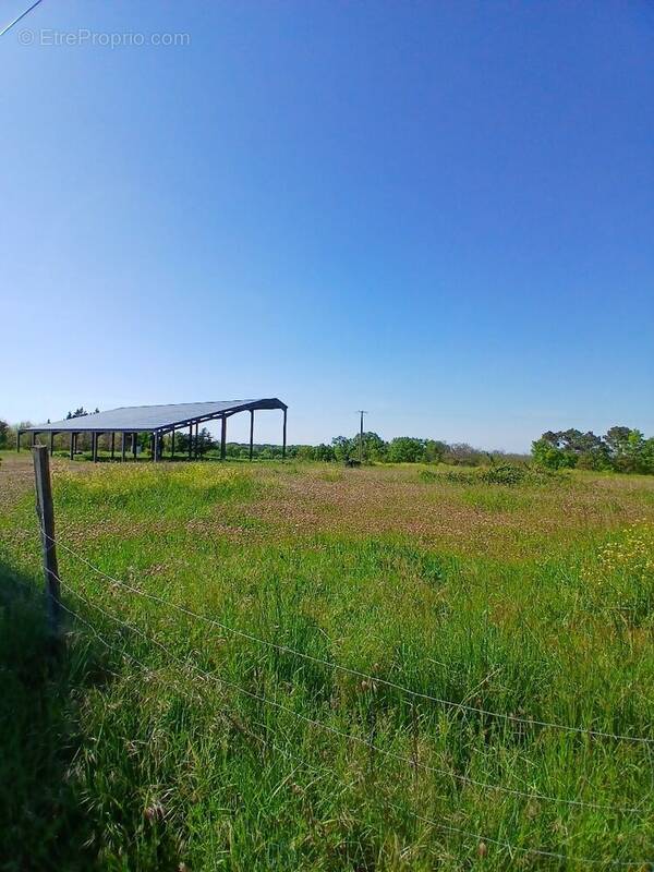Terrain à SAINT-MARTIN-DE-RIBERAC