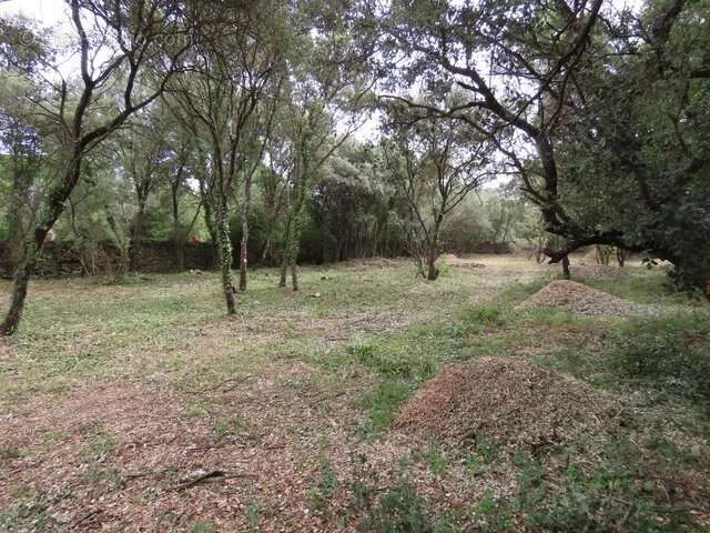 Terrain à UZES