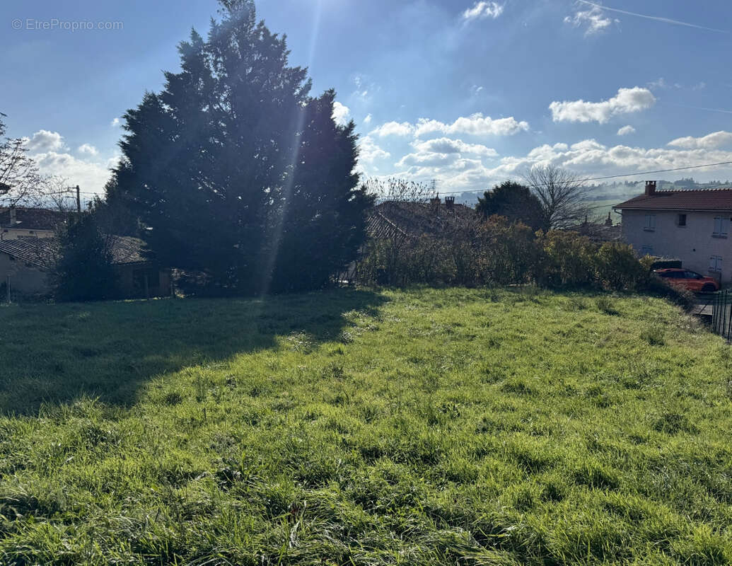 Terrain à POLLIONNAY