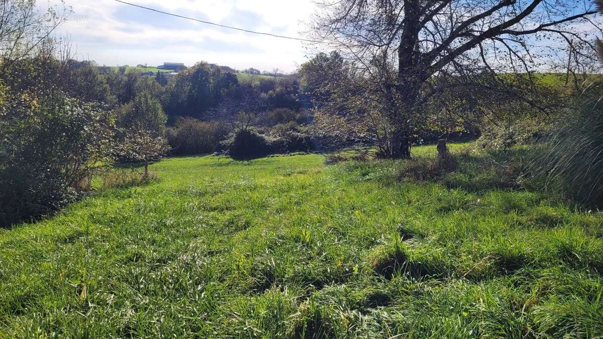 Maison à CORDES-SUR-CIEL