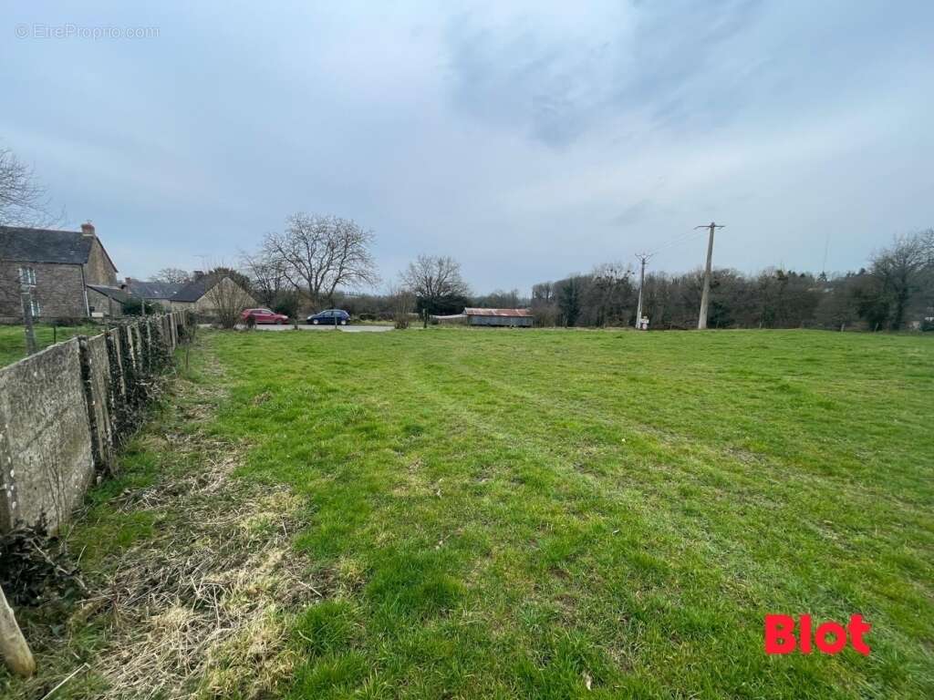 Terrain à LE PERTRE