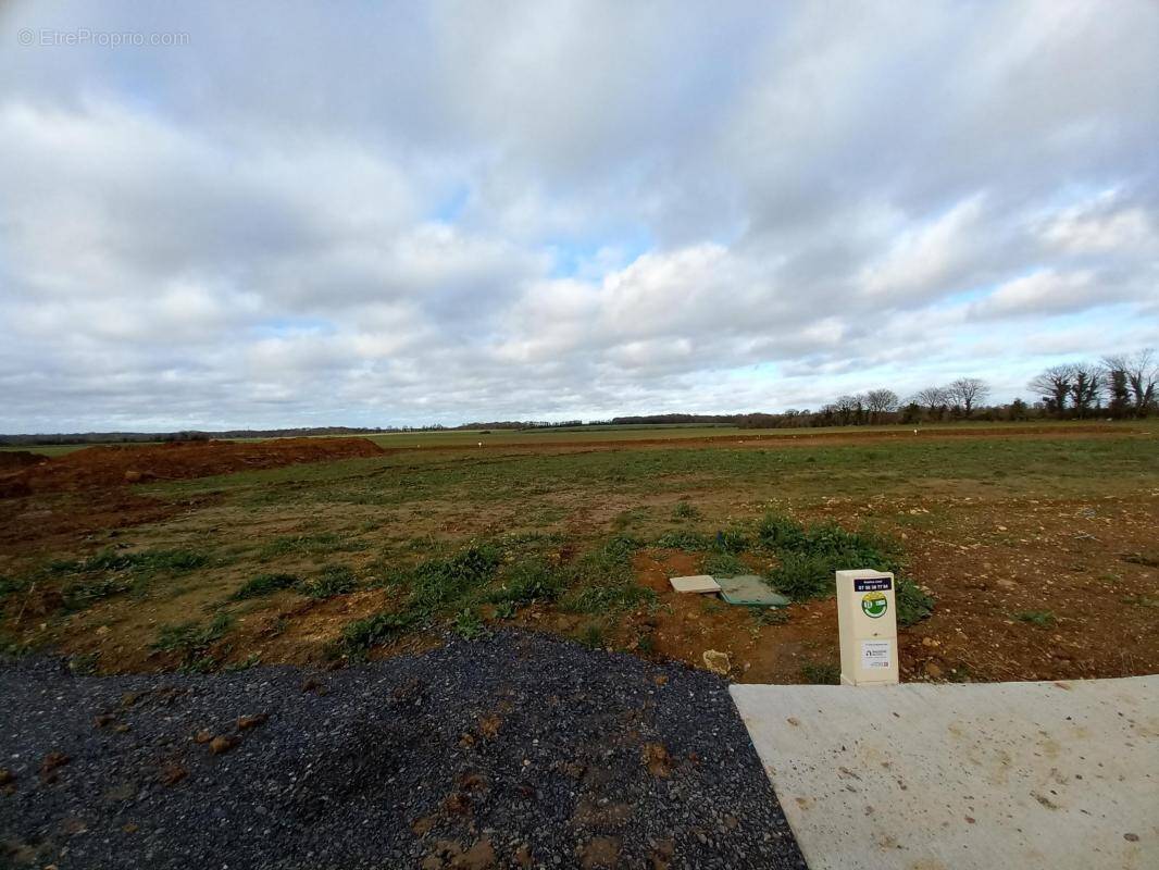 Terrain à BLAINVILLE-SUR-ORNE