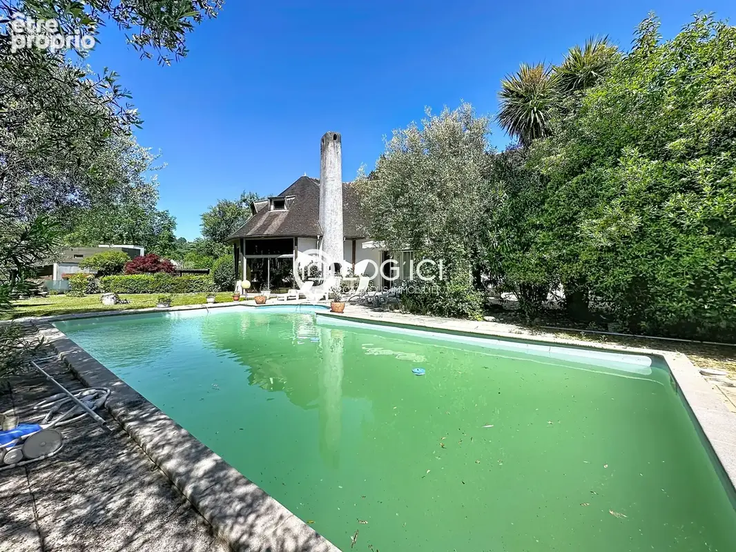 NAY - Vente Maison familiale atypique T9 sur 3 niveaux avec piscine - photo 4