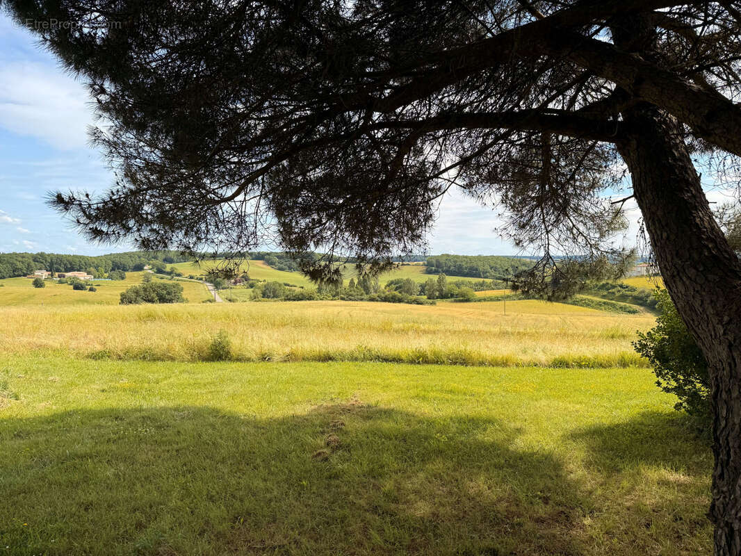 Maison en pierre avec chalet bois, grange et vue panoramique - photo 13