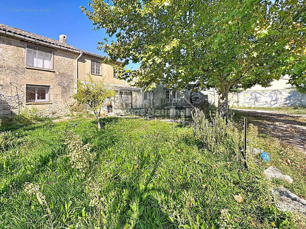 Maison à CHEVAL-BLANC