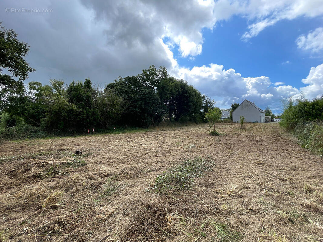 Terrain à CLOHARS-FOUESNANT