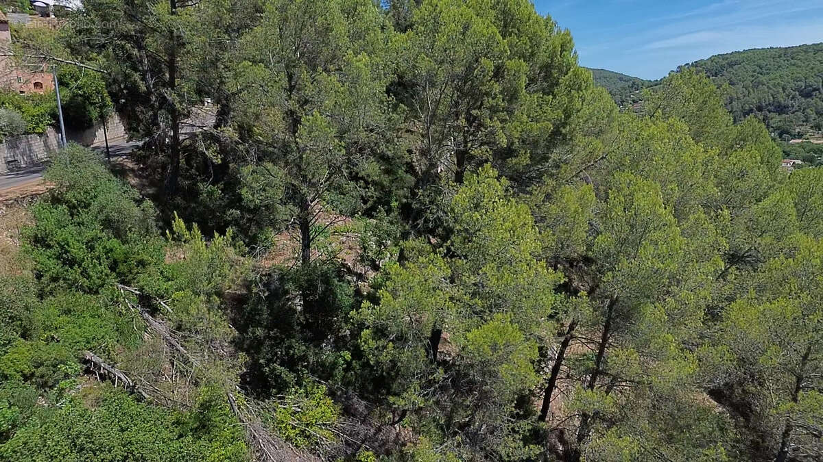 Terrain à SOLLIES-TOUCAS