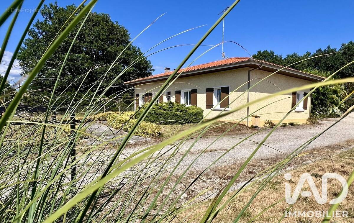 Photo 1 - Maison à SALLES