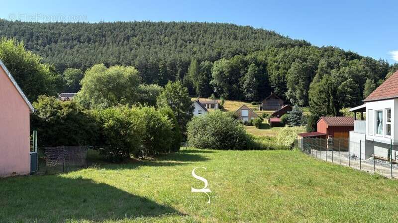 À VENDRE - Terrain constructible proche Niederbronn-Les-Bains et Reichshoffen - photo 3