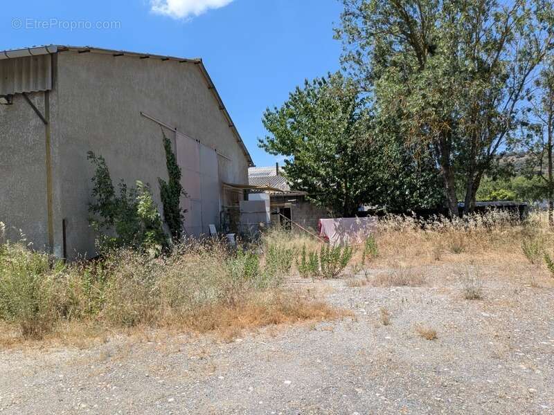 Commerce à LIMOUX