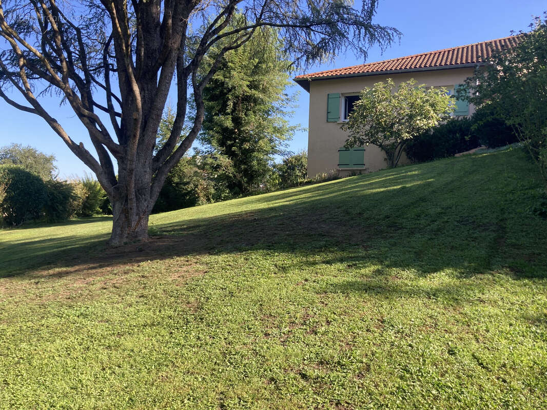 Maison à VILLIEU-LOYES-MOLLON