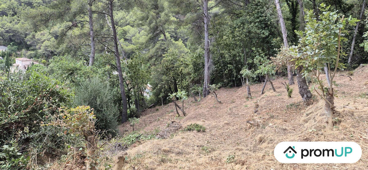 Terrain à GORBIO
