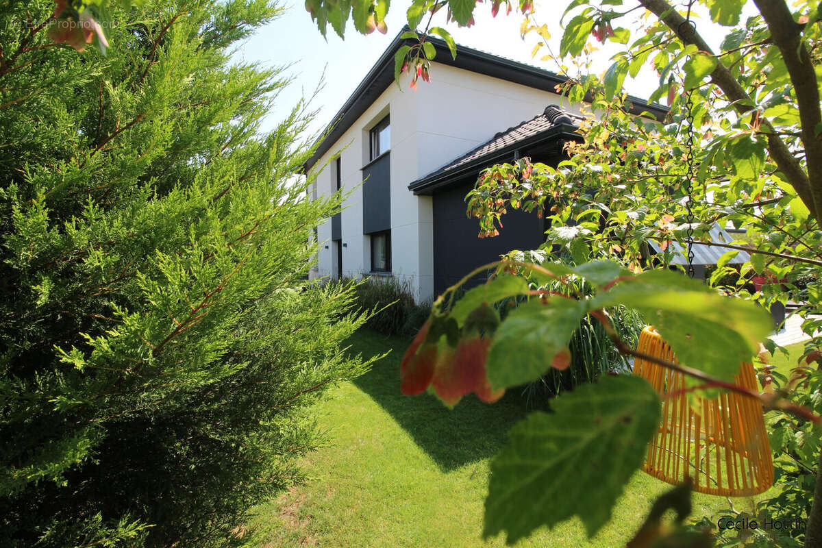 Maison à PHALEMPIN