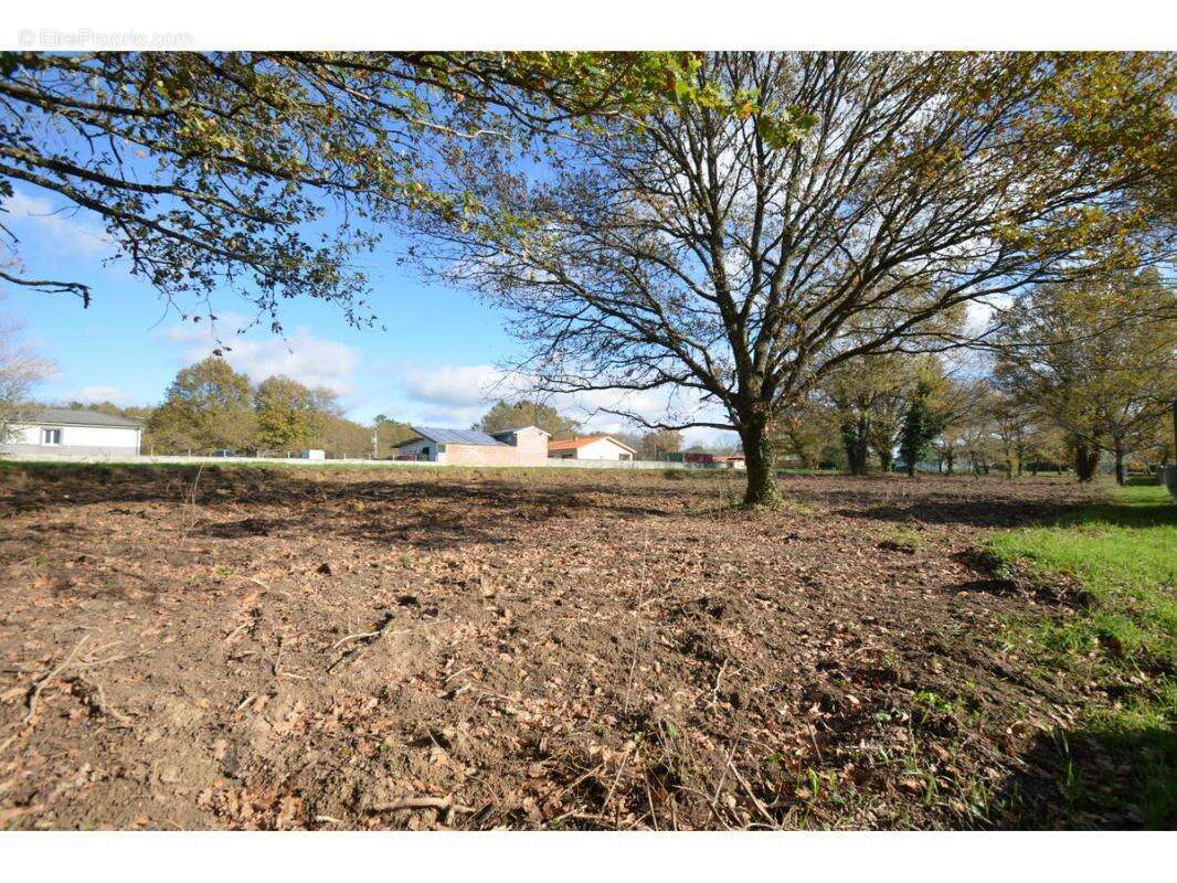 Terrain à PORCHERES