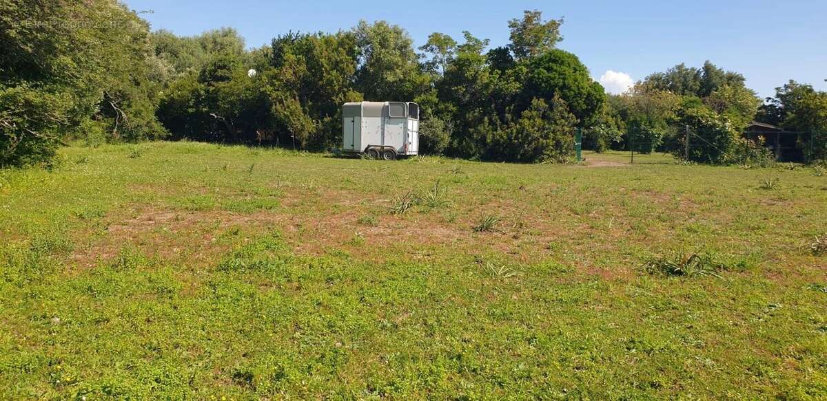 Terrain à SERRA-DI-FIUMORBO