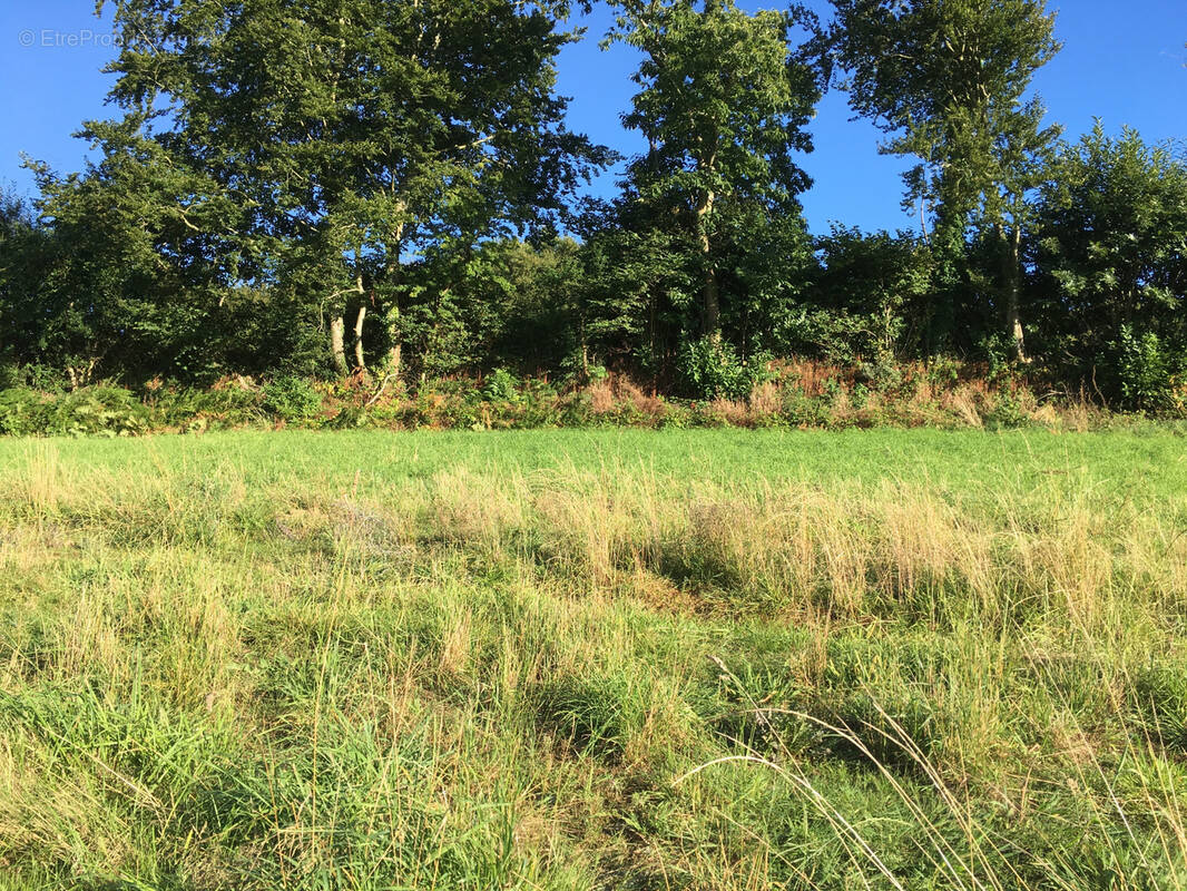 Terrain à LANDERNEAU