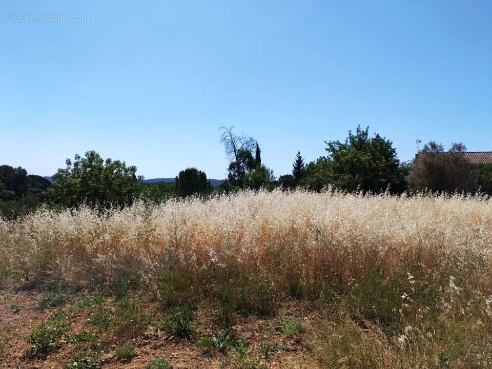 Terrain 628 m² à Lorgues  - photo 3