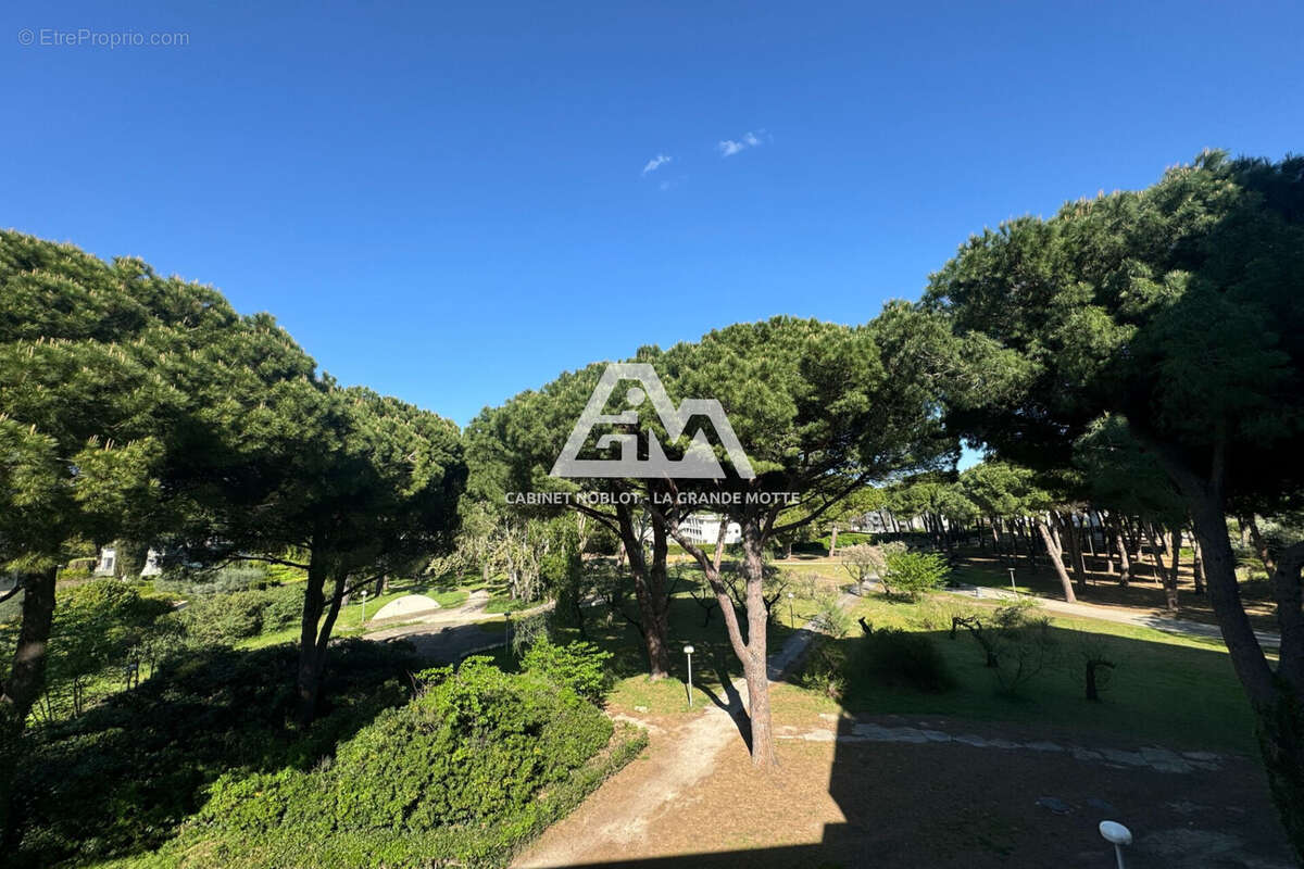 Appartement à LA GRANDE-MOTTE