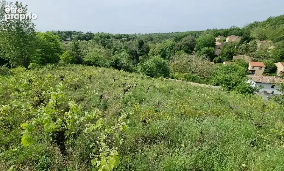 Terrain 1 000 m² à vendre à Castanet-Tolosan (31320) - photo 2
