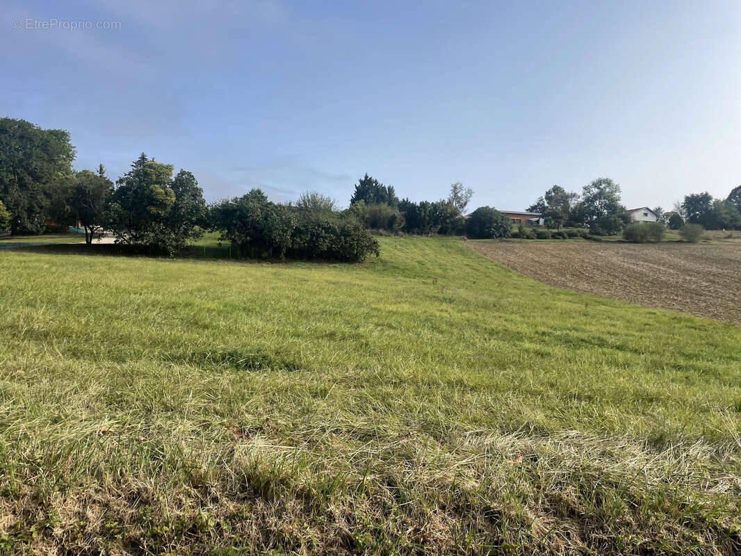 Terrain 2680 m² à Aurignac  - photo 2