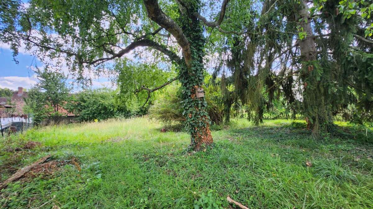 Terrain à CUISE-LA-MOTTE