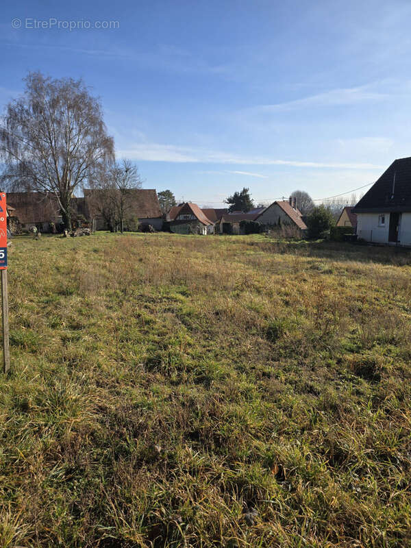 Terrain à ESCHENTZWILLER