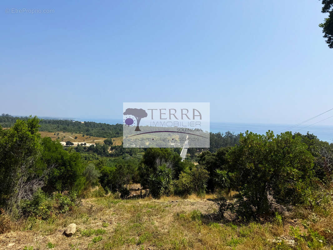 Terrain à SARI-SOLENZARA