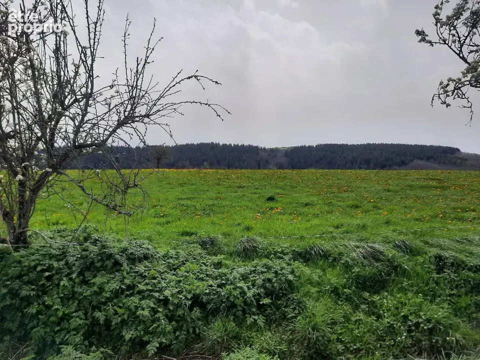 Terrain 1 500 m² à vendre à Roannes-Saint-Mary (15220) - photo 4