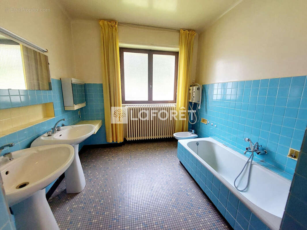 Maison d'Architecte BAINS LES BAINS 10 pièce(s) 291 m2 - photo 12