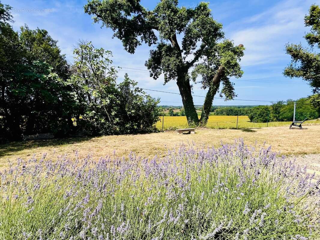 Maison de plain-pied 4 chambres avec jardin et piscine dans un cadre tranquille - photo 15