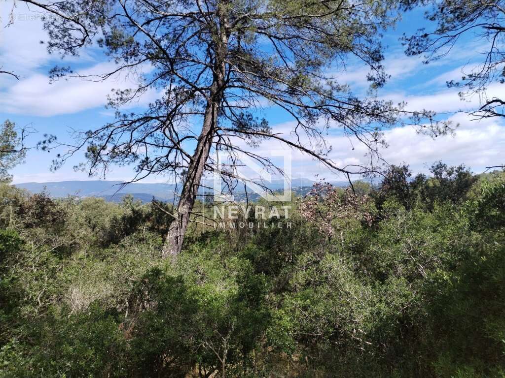 Montauroux - superbe terrain en zone naturelle   5 hectares ! - photo 2