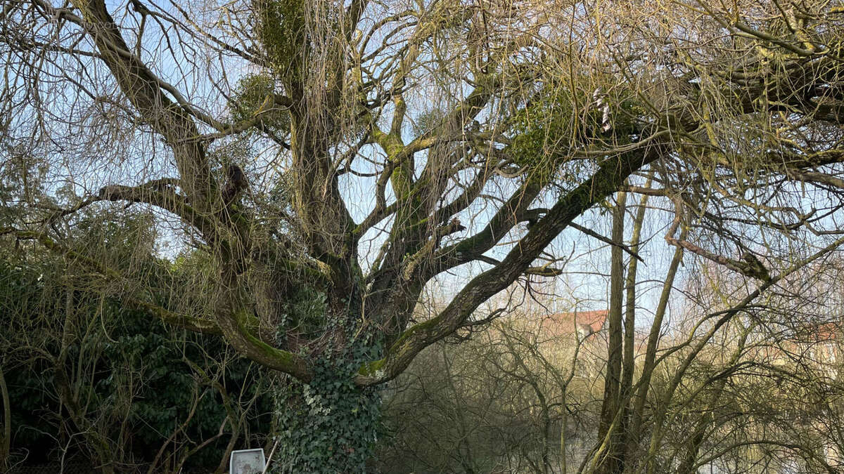 Terrain à COURVILLE-SUR-EURE