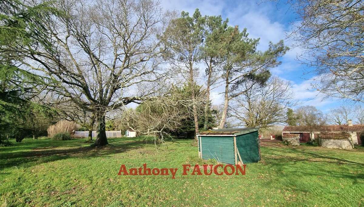 Maison à SAINT-VINCENT-SUR-GRAON