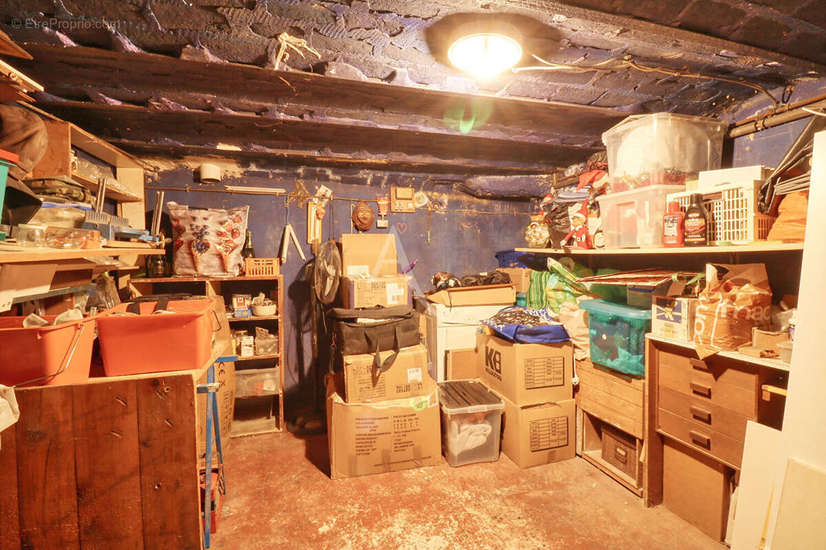 Local commercial mixte - 117 m2  + Hangar 57m² - Jardin - photo 6