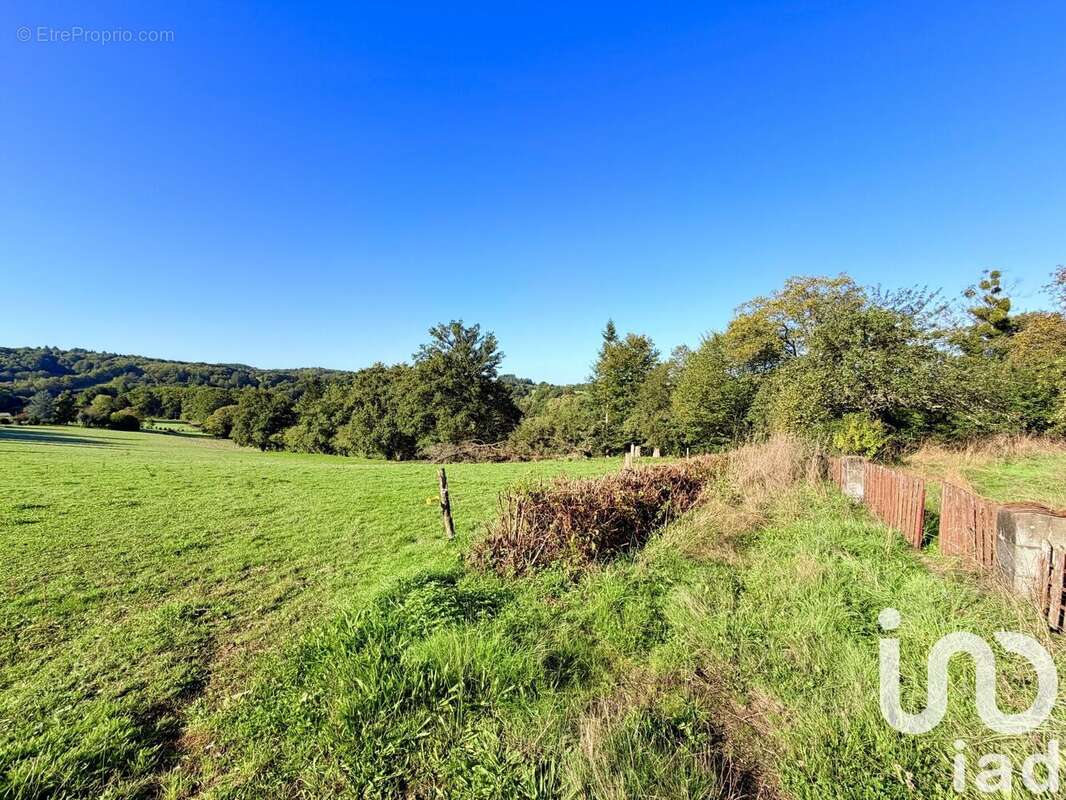 Photo 4 - Maison à SAINT-MARTIN-SAINTE-CATHERINE