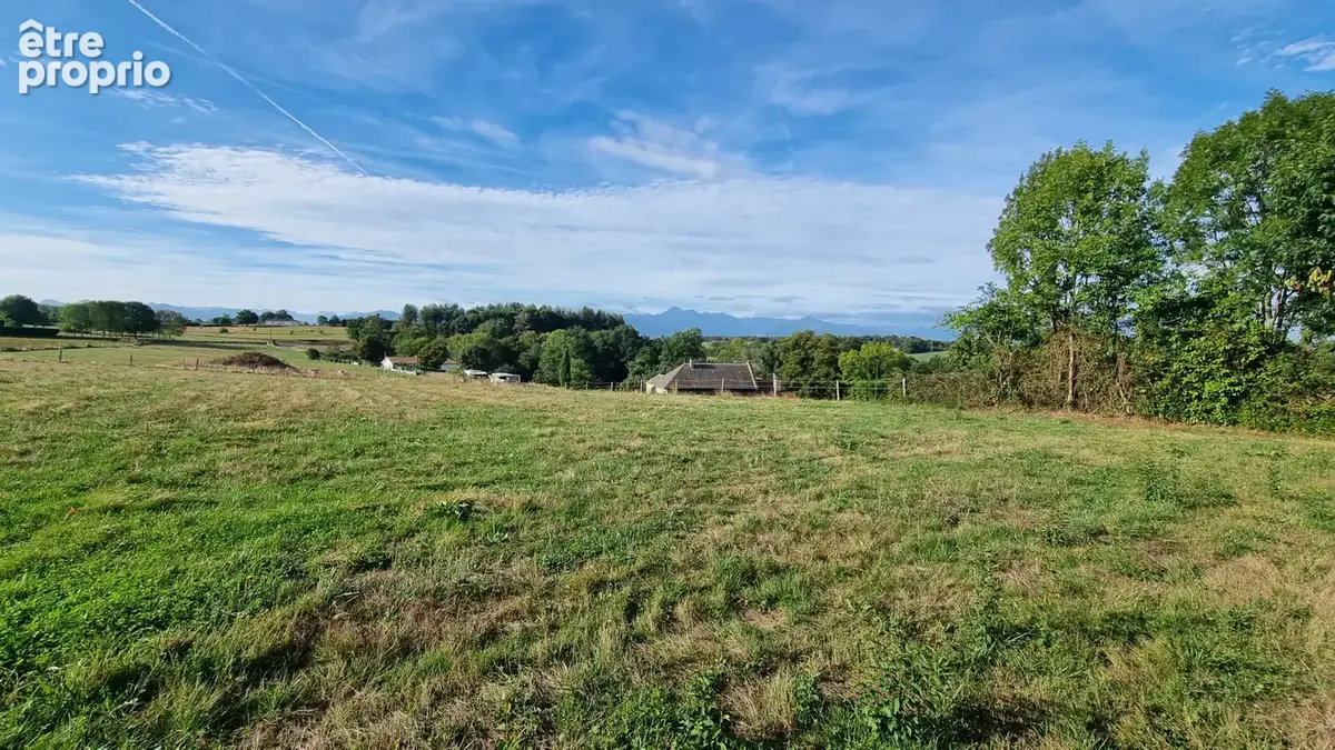 Terrain 1200M2 - photo 5