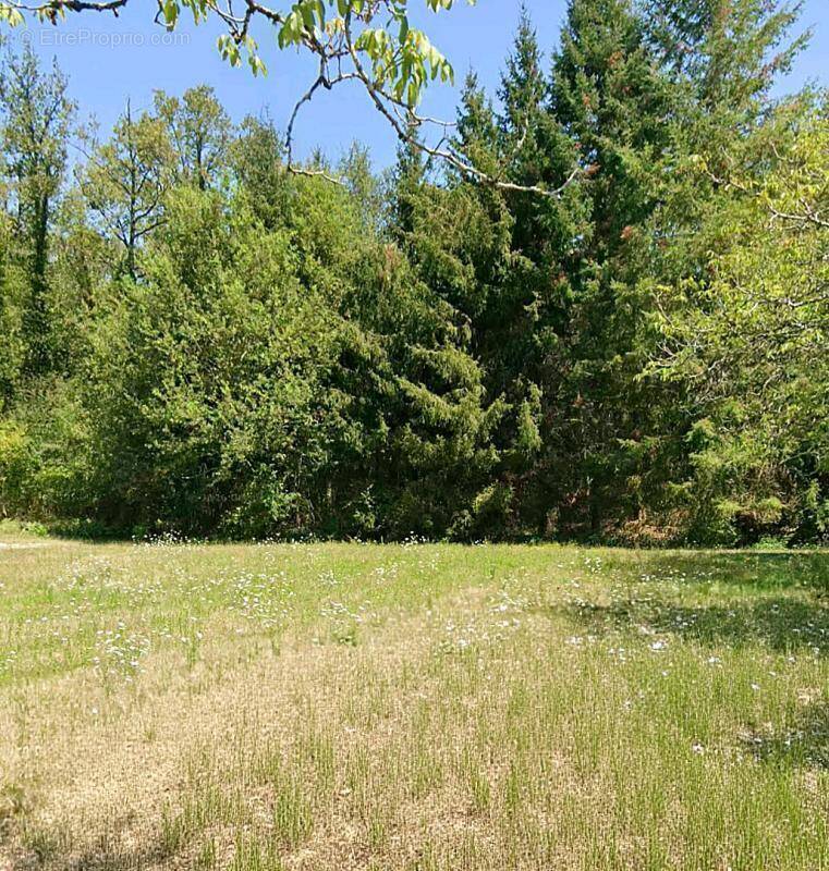 Terrain à PAULIN
